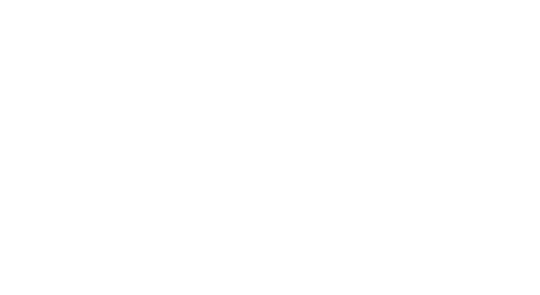Palettenservice Trojanowski – Logo weiß transparent